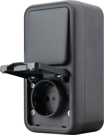 Donel WP55 двойной блок накл. Роз.с защ.крышк.,+Переключатель 1-кл., антрацит, IP55, серия (тип) DIP55