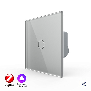 Одноклавишный проходной умный сенсорный выключатель Livolo ZigBee, 1 пост, Серый VL-C701SZ-2IG