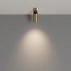Потолочный светильник LED 12Вт Латунь IP20 Ceiling & Wall C055CL-L12W4K-W-BS Technical Maytoni