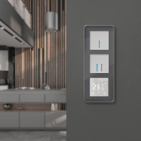 Elite Рамка из стекла на 3 поста графит Werkel