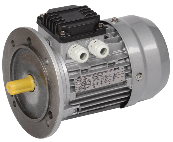 Электродвигатель асинхронный трехфазный АИР 56B2 380В 0,25кВт 3000об/мин 3081 DRIVE IEK