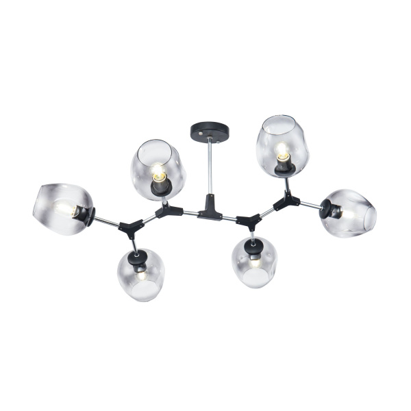 Потолочный светильник 6*E27 60Вт Черный IP20 Desi FR5006CL-06B Freya