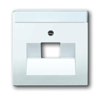 Busch-axcent Накладка для розетки СУ 1 мест.комп с полем для надписи . альпийский белый IP20 ABB