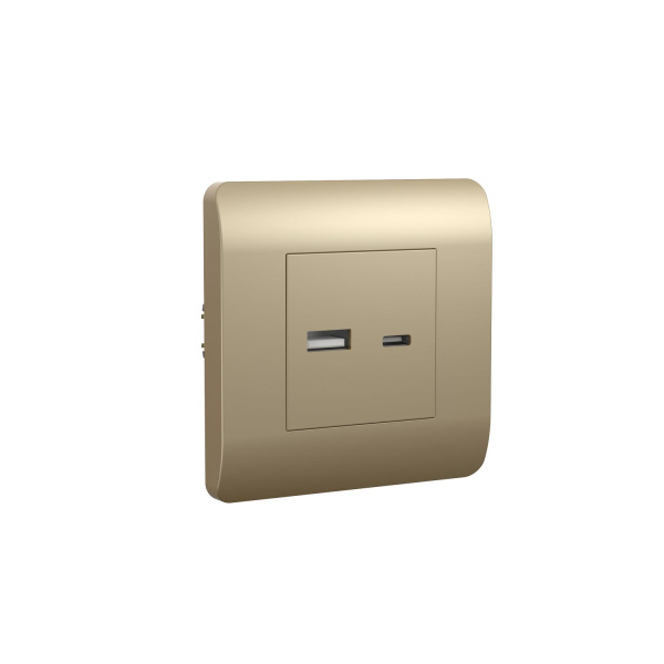 Розетка USB A+C, 5В/2,1А, шампань NEW3-E CHINT Розетка USB A+C, 5В/2,1А, шампань NEW3-E CHINT