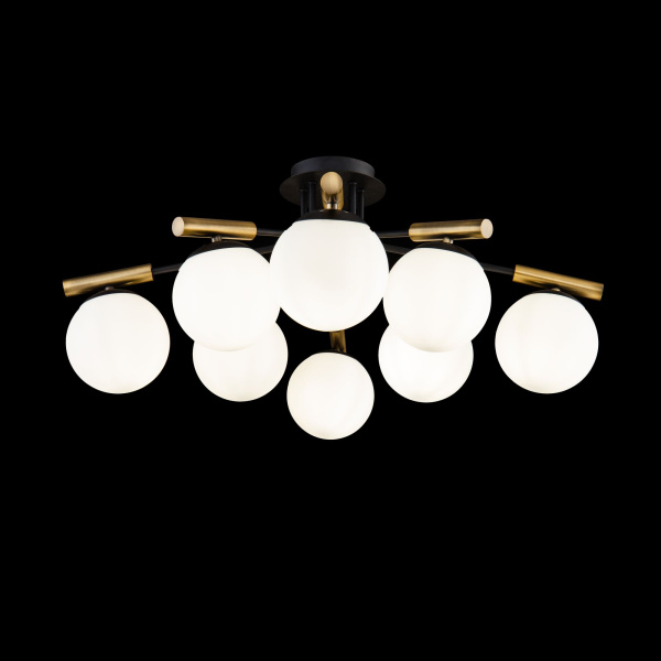 Потолочный светильник 8*E14 40Вт Черный IP20 Paolina FR5011CL-08B Freya