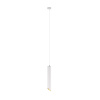 Подвесной светильник 1*GU10 12Вт Белый с Золотом IP20 Pendant P044PL-01-40GU10-W Technical Maytoni