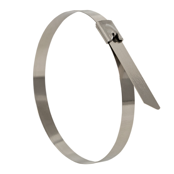 Хомут AISI 316 из нержавеющей стали, 7,9x840 (100 шт) FlexLock PROxima EKF