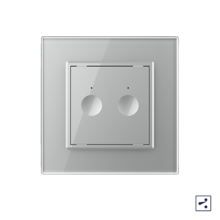 Двухклавишный проходной сенсорный выключатель Module, цвет серый Livolo