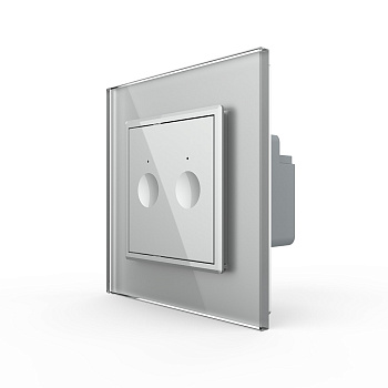 Двухклавишный сенсорный выключатель Module, цвет серый Livolo