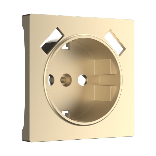 Накладка для USB розетки (шампань) СУ IP20 Werkel