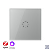 Одноклавишный умный сенсорный диммер Livolo ZigBee, 1 пост, Серый VL-C701D2Z-2IG