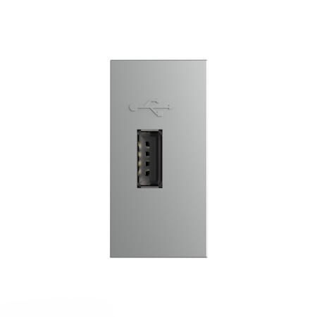 Розетка USB с блоком питания серая (механизм) Livolo
