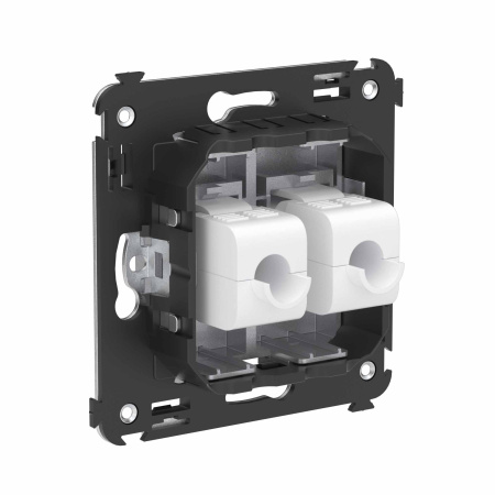 Компьютерная розетка RJ-45 без шторки в стену, кат.6А двойная, "Avanti", "Закаленная сталь" DKC