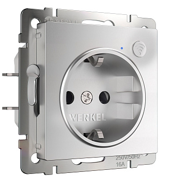 Умная встраиваемая розетка с заземлением с защитными шторками алюминий СУ IP20 Werkel