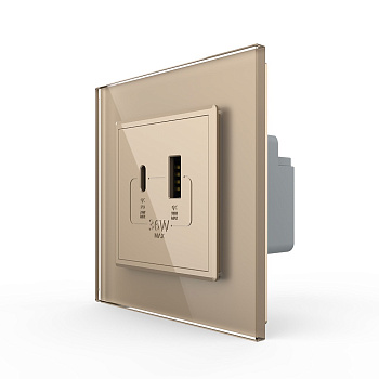 Розетка USB type C+A с блоком питания 36W Livolo 1 пост Золотая VL-C7VUA18W.UC18W-2AP
