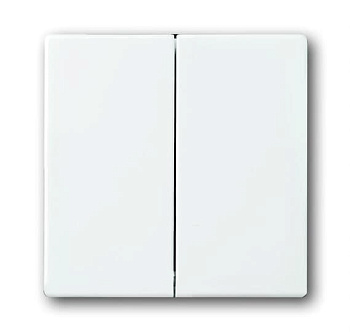 Busch-axcent Накладка выключателя СУ 2 кл . альпийский белый IP20 ABB