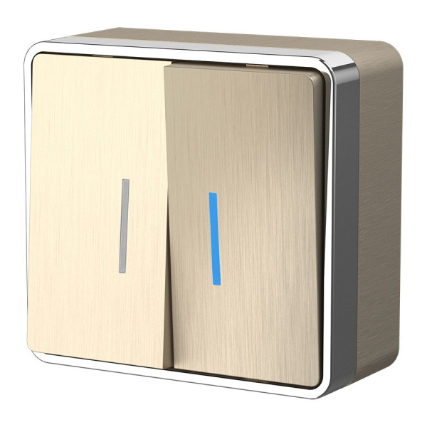 Выключатель двухклавишный с подсветкой (шампань рифленый) Gallant ОУ IP20 Werkel