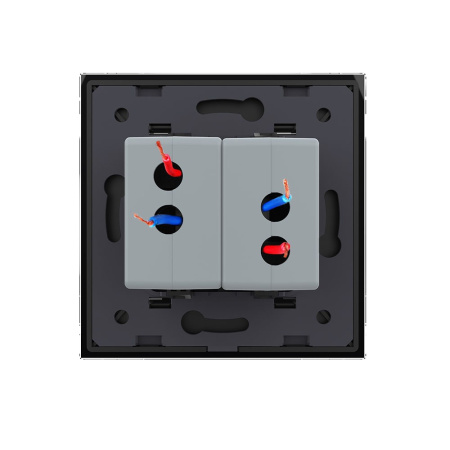 Розетка USB с блоком 5В 2.1А двойная Черная Livolo