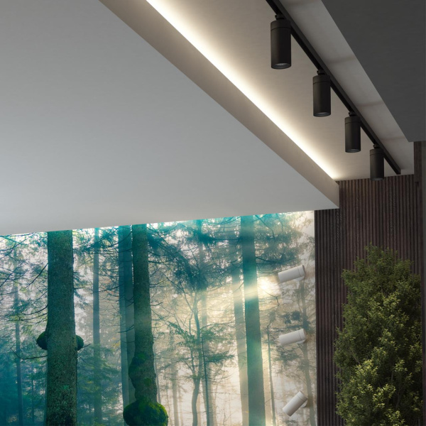 Св-к трековый однофазный IP20 LED 4000K 30W 175-245V DEP черный NOVOTECH