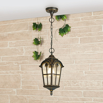 Уличный подвесной светильник 1*E27 черное золото IP44 (a025299) Elektrostandard