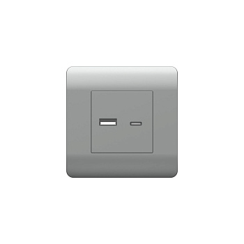Розетка USB A+C, 5В/2,1А, серебряный NEW3-E CHINT Розетка USB A+C, 5В/2,1А, серебряный NEW3-E CHINT