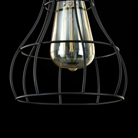 Подвесной светильник 1*E27 60Вт Черный IP20 Denver T450-PL-01-B Maytoni