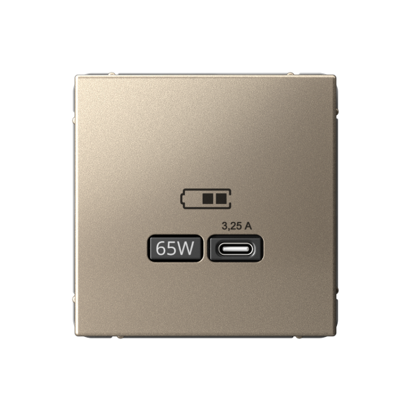 ARTGALLERY USB РОЗЕТКА тип-С 65Вт высокоскор.заряд. QC, PD, механизм, ШАМПАНЬ Systeme Electric ARTGALLERY USB РОЗЕТКА тип-С 65Вт высокоскор.заряд. QC, PD, механизм, ШАМПАНЬ Systeme Electric