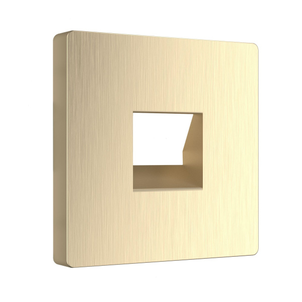 Накладка для телефонной розетки RJ11 (шампань рифленый) СУ IP20 Werkel