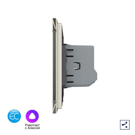 Одноклавишный проходной умный сенсорный выключатель EC, 1 пост, цвет жемчужный Livolo