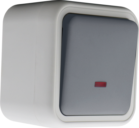 Donel W55 Выключатель звонкового типа 1-кл. накладной, с подсв., серый, IP55, серия (тип) DIP55