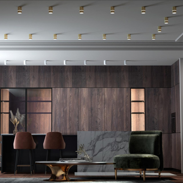 Св-к накл.IP20 GU10 9W 235V ELINA золото B NOVOTECH