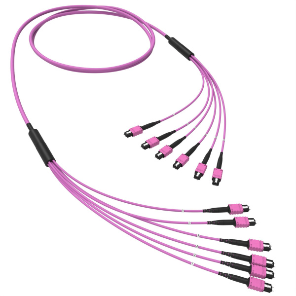 Оптическая магистральная сборка 72 ОВ 50/125 OM4, 6xMTP PRO(12)m/6xMTP PRO(12)m, тип В, 200 м DKC