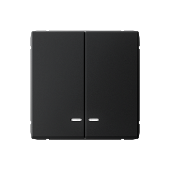 ARTGALLERY 2-клавишный ВЫКЛЮЧАТЕЛЬ с подсветкой, сх.5а, 10АХ, механизм, КАРБОН Systeme Electric