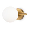 Настенный светильник (бра) 1*G9 25Вт Латунь IP20 Blossom FR5259WL-01BS Freya