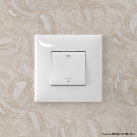 Переключатель одноклавишный в стену, "Avanti", "Белое облако" DKC
