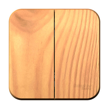 BLANCA Выключатель ОУ 2 кл 10А ясень IP20 Schneider Electric