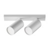Потолочный светильник 2*GU10 10Вт Белый IP20 Ceiling & Wall C051CL-U-2W Technical Maytoni