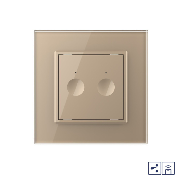 Двухклавишный проходной сенсорный выключатель Module с функцией радиоуправления, цвет золотой Livolo