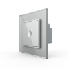 Одноклавишный сенсорный выключатель Module, цвет серый Livolo