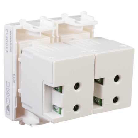 USB зарядное устройство модульное, "Avanti", "Белое облако", 2 модуля DKC