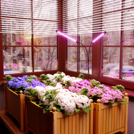 Светодиодный светильник для растений на прищепке 16 Вт FT-005 черный Elektrostandard