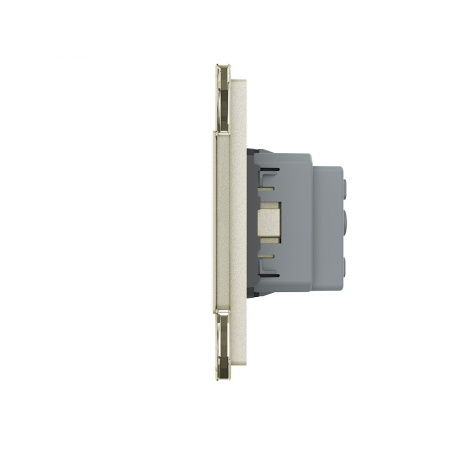 Розетка электрическая 16А 2 поста, цвет жемчужный Livolo