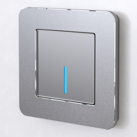 Platinum Рамка на 1 пост алюминий Werkel