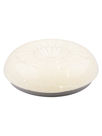 Светильник светодиодный LED СПС 03 22Вт с изменением яркости и цвета 2700К-6500К D35см, Паутина TDM