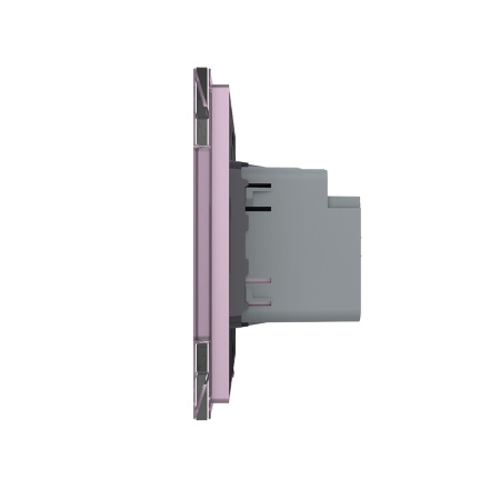 Двухклавишный сенсорный выключатель Module, цвет розовый Livolo