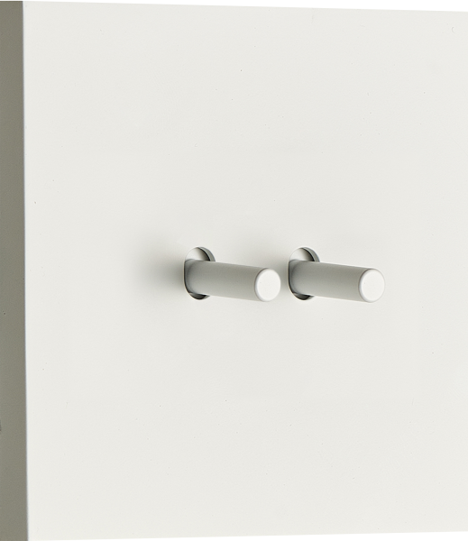 Donel N96 Переключатель на 2 тумблера, Цилиндр, 10AX 250V, Белый, серия DT