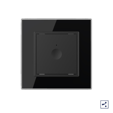 Одноклавишный проходной сенсорный выключатель Module, цвет черный Livolo