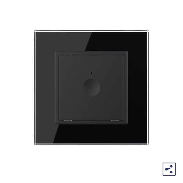 Одноклавишный проходной сенсорный выключатель Module, цвет черный Livolo