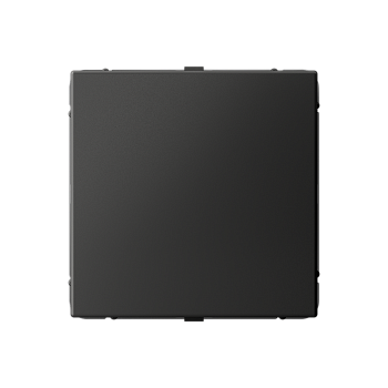 ARTGALLERY ЗАГЛУШКА без суппорта для многопостовых рамок, БАЗАЛЬТ Systeme Electric