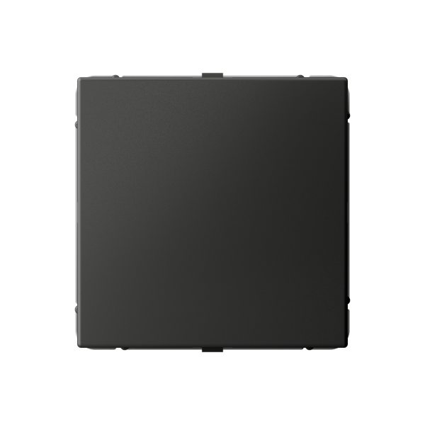 ARTGALLERY ЗАГЛУШКА без суппорта для многопостовых рамок, БАЗАЛЬТ Systeme Electric